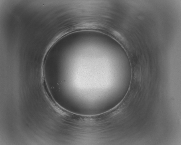X0000075821370200609151201
