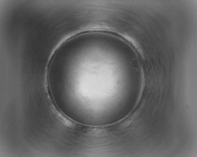 X0000075821374200609151201
