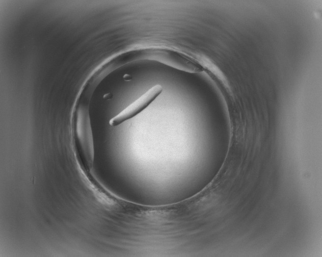 X0000075821380200609151201