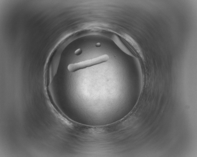 X0000075821384200609151201