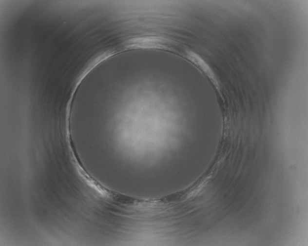 X0000075821386200609151201