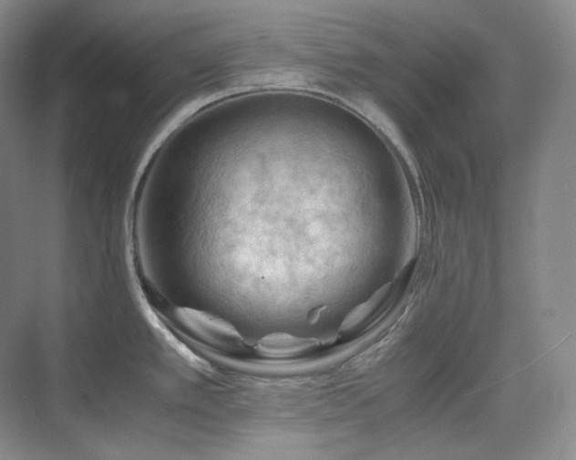 X0000075821389200609151201