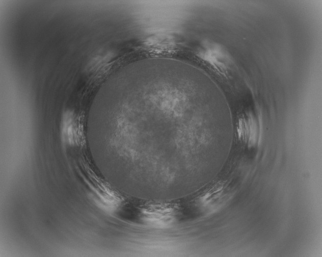 X0000075821396200609151200