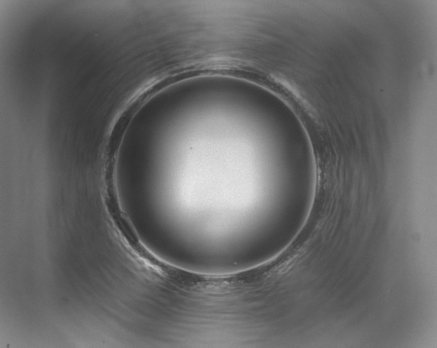X0000075821410200609151200