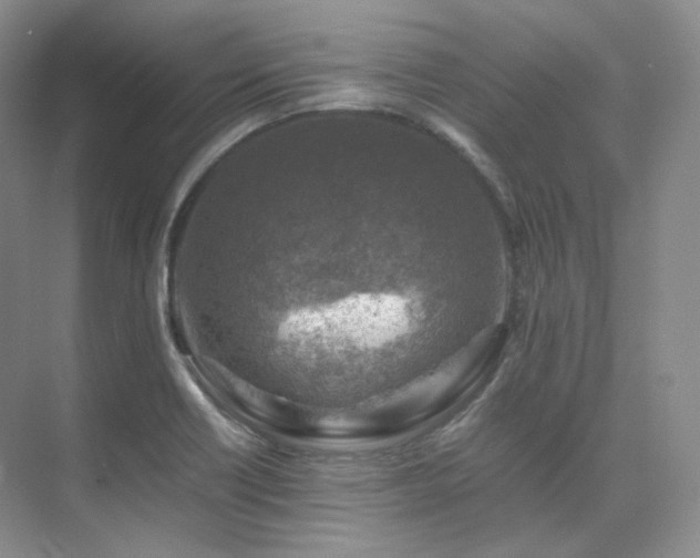 X0000075821418200609151200
