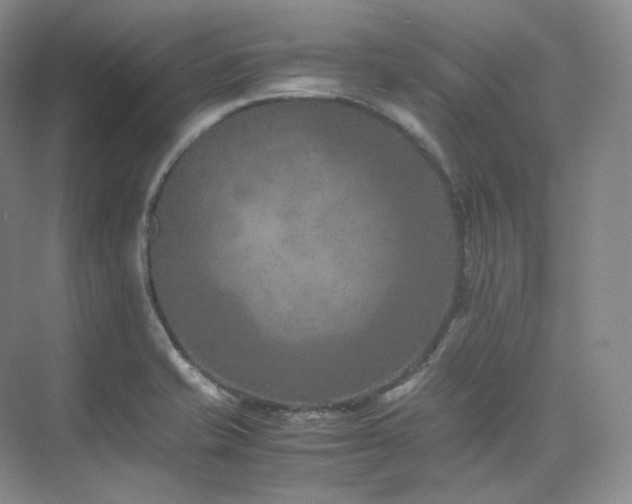 X0000075821421200609151201