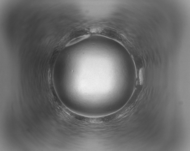 X0000075821443200609151200
