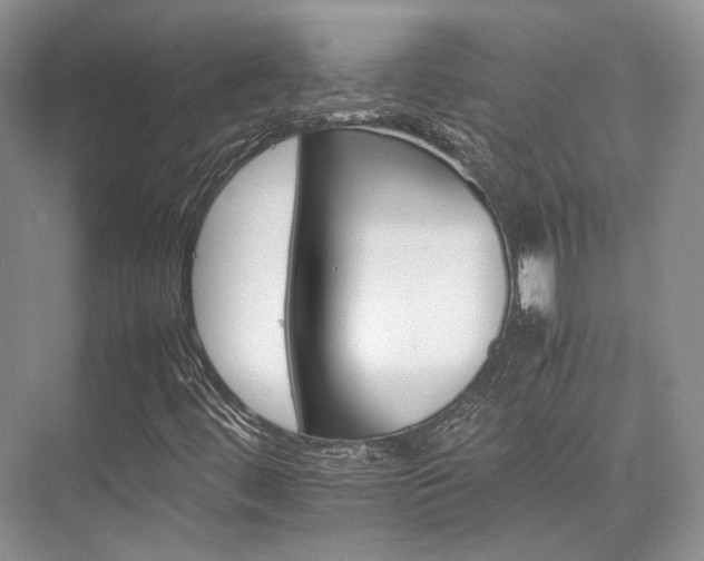 X0000075821444200609151200