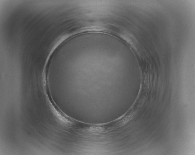 X0000075821466200609151200
