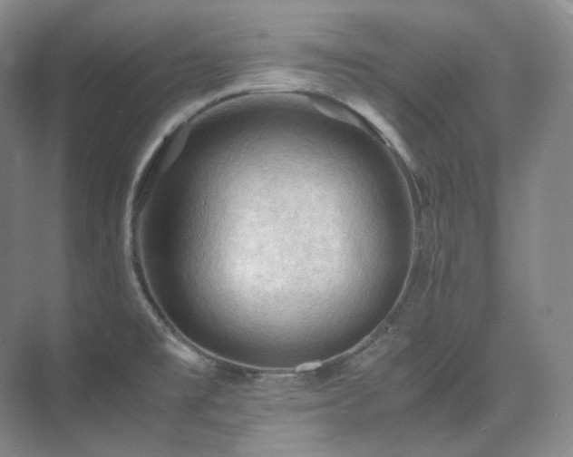 X0000075821477200609151159