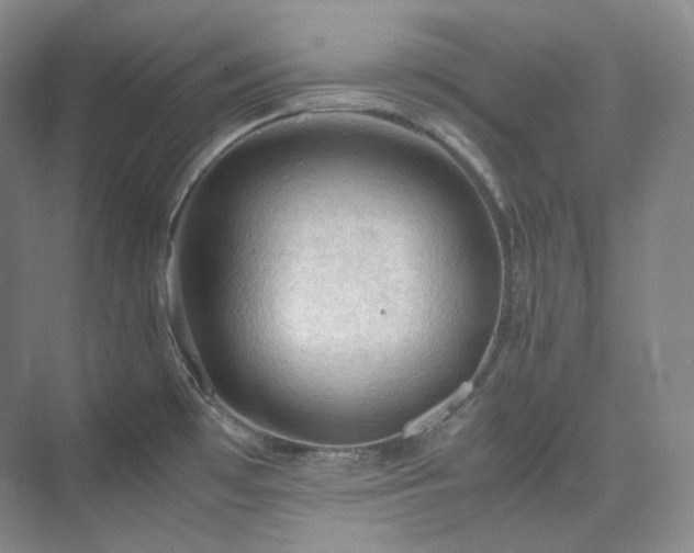 X0000075821481200609151159