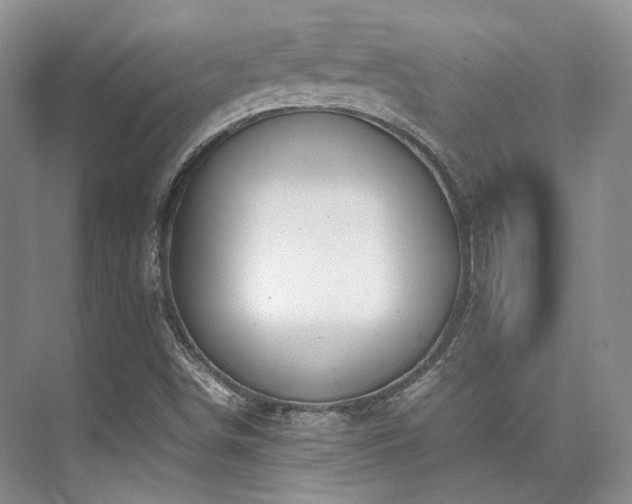 X0000075821498200609151159