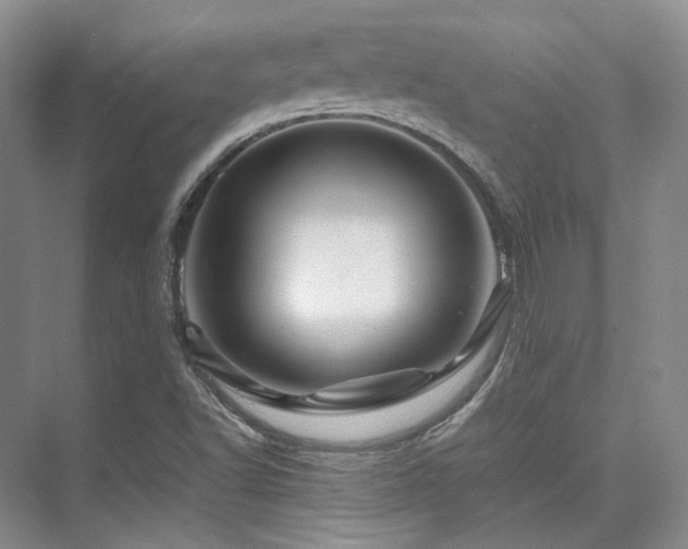 X0000075821502200609151159