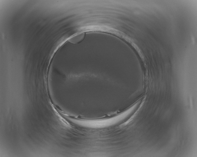 X0000075821529200609151159