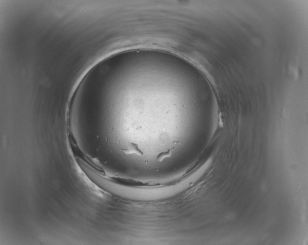 X0000075821532200609151159
