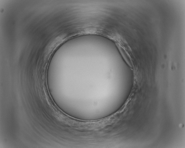 X0000075820001200609221345