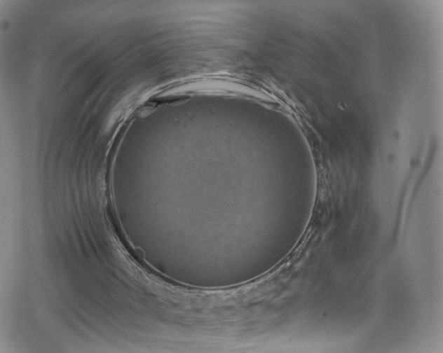 X0000075820002200609221345