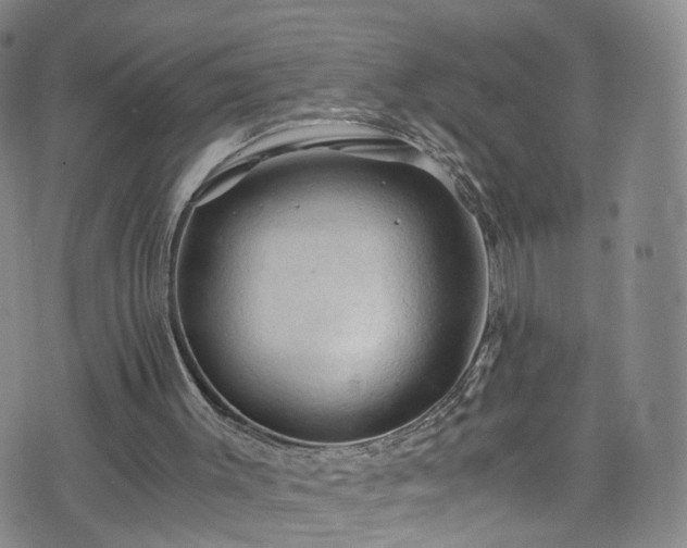 X0000075820003200609221345