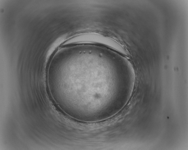 X0000075820006200609221345