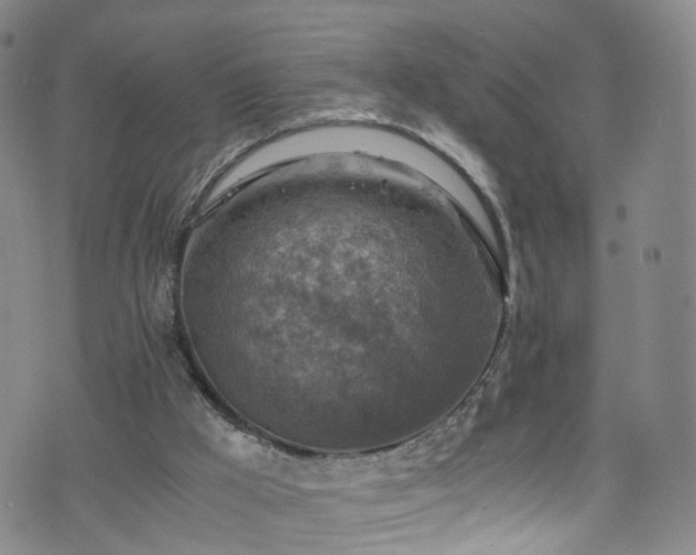 X0000075820009200609221345