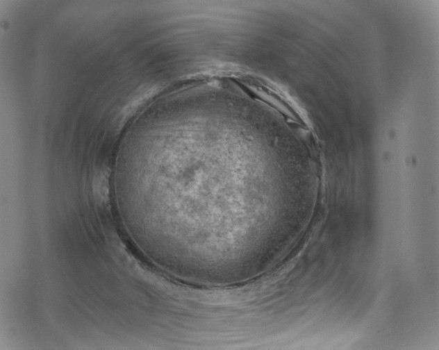 X0000075820010200609221345