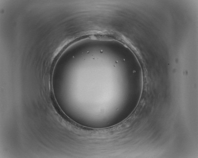 X0000075820011200609221345