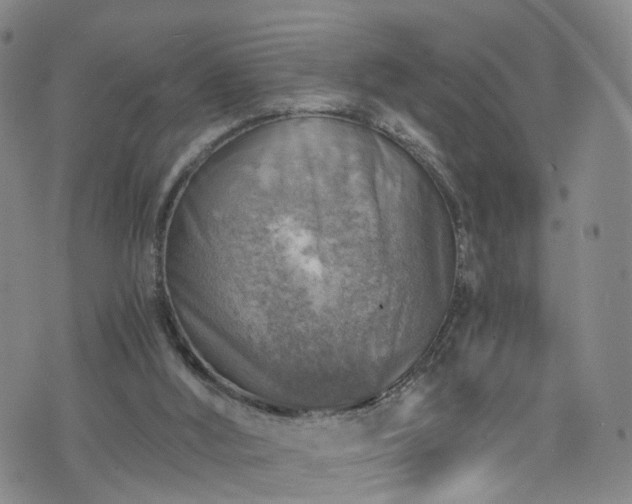 X0000075820012200609221345