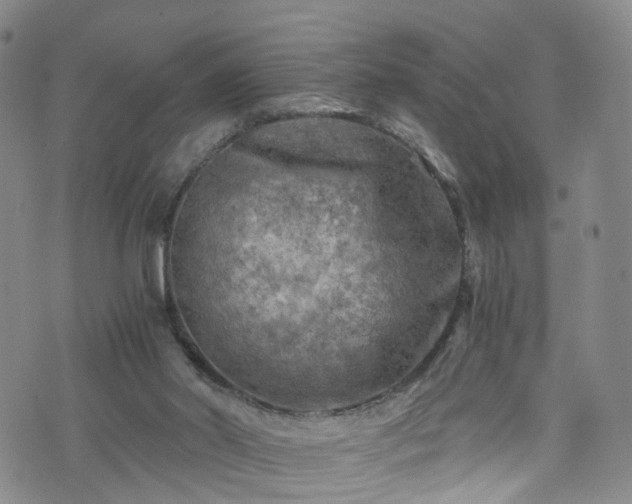 X0000075820014200609221345