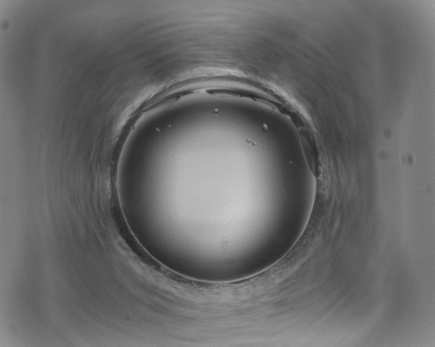 X0000075820015200609221345