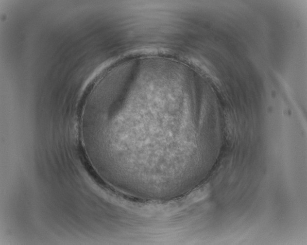 X0000075820016200609221345