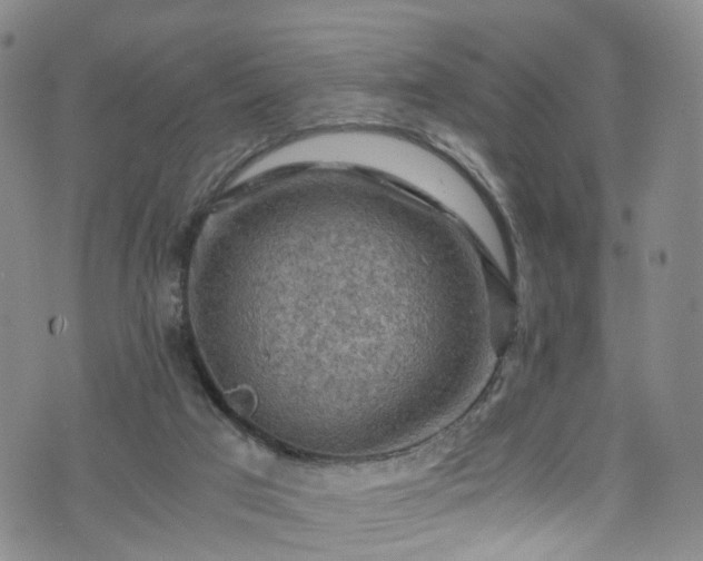 X0000075820017200609221345