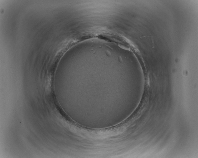 X0000075820018200609221345