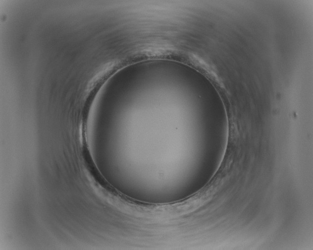 X0000075820019200609221345