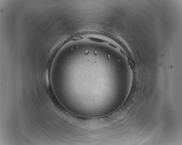 X0000075820020200609221345