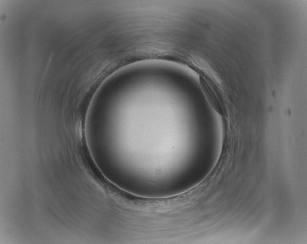 X0000075820021200609221345