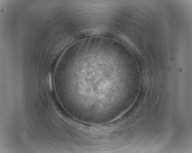 X0000075820022200609221345