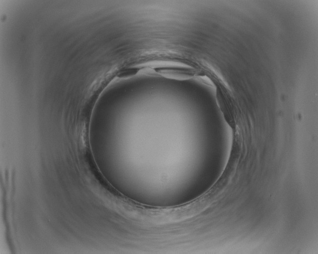 X0000075820023200609221345