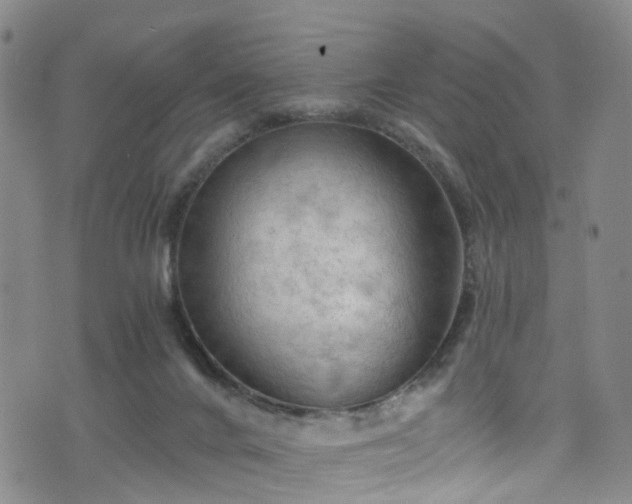 X0000075820024200609221345