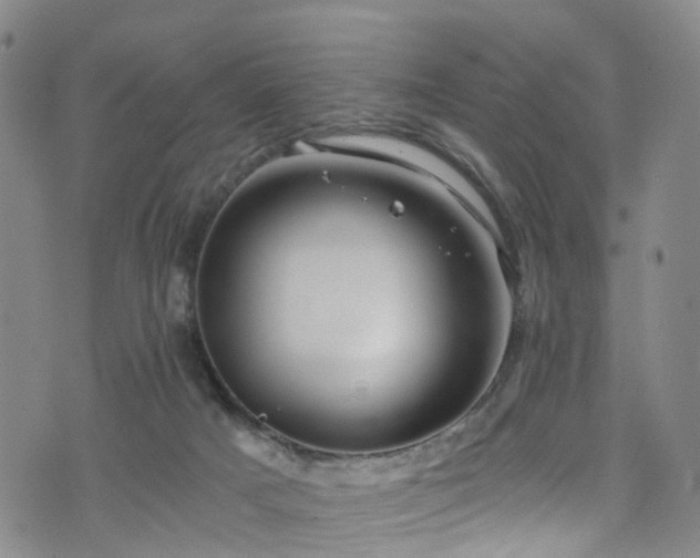 X0000075820025200609221345