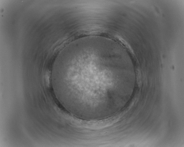 X0000075820026200609221345