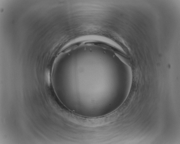 X0000075820027200609221345