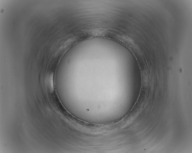 X0000075820028200609221345