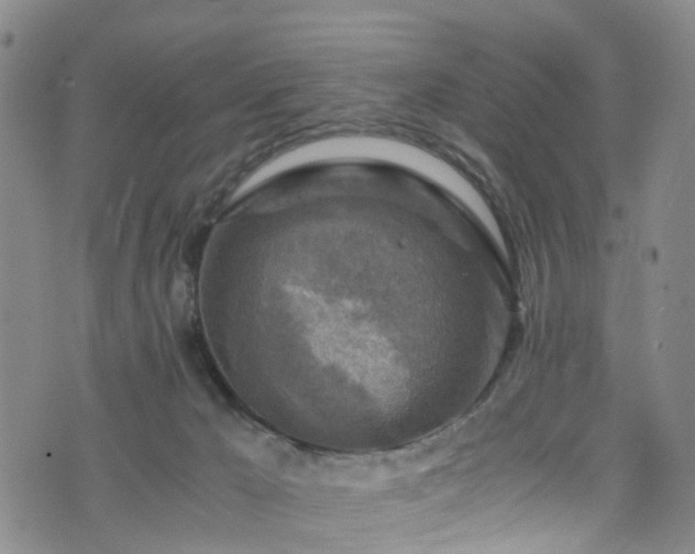 X0000075820029200609221345