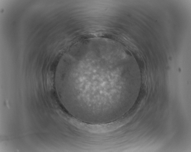 X0000075820030200609221345