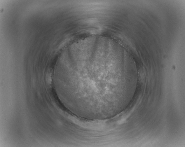 X0000075820032200609221345