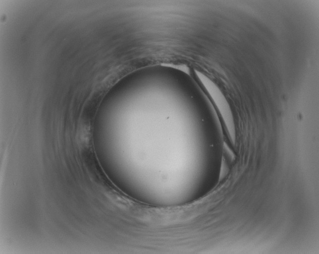 X0000075820033200609221345