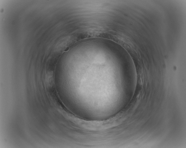 X0000075820034200609221345