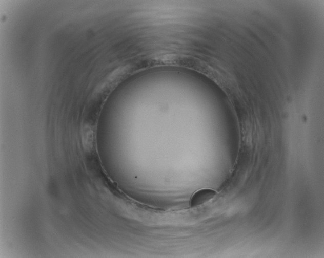 X0000075820036200609221345