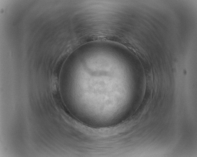 X0000075820038200609221345