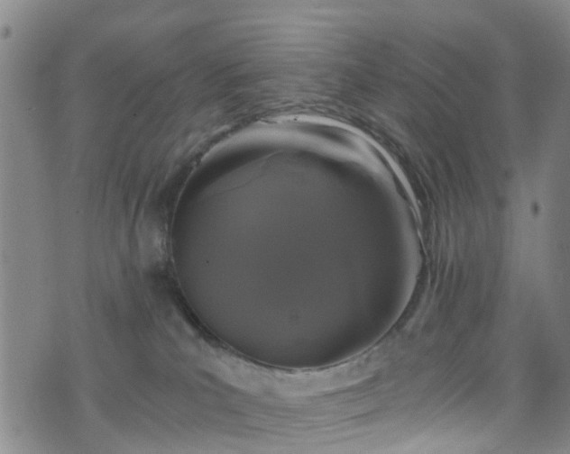 X0000075820039200609221345